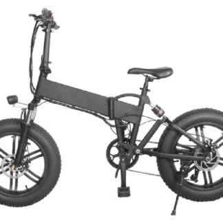 VÉLO ÉLECTRIQUE PANDA X2