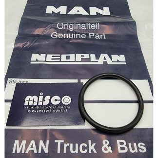 ANELLO DI TENUTA 65X6 06.56930-6411 Man
