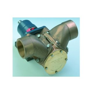 Pompa in Bronzo F95B-3000