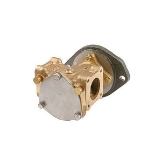 Pompa Raffreddamento Motore P1732C