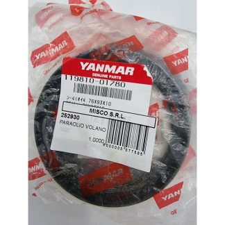 PARAOLIO 252930 Kohler