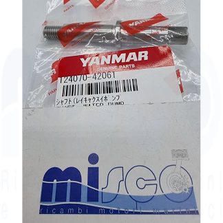 ALBERO POMPA AM 12407042060 124070-42061 Yanmar