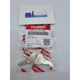 COPPIA CHIAVI AVVIAMENTO SERIE GM 124070-91290 Yanmar