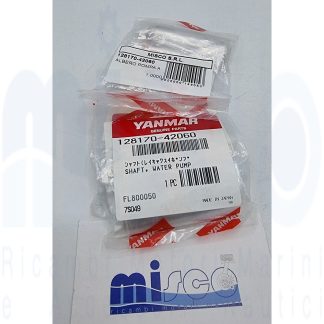 ALBERO POMPA AM 1GM10 128170-42060 Yanmar
