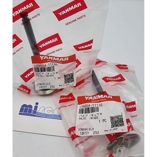 VALVOLA 12900411100 129004-11130 Yanmar
