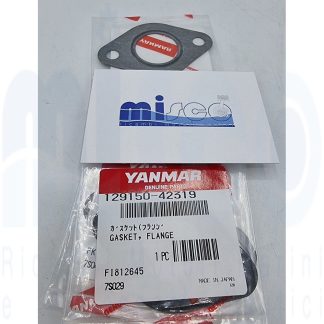 GUARNIZIONE 12905242310-12947042310 129150-42319 Yanmar