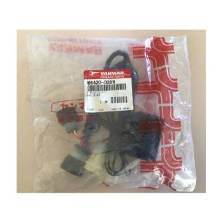 Amplificatore 196420-02811