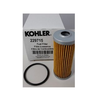 Filtro Gasolio 229715