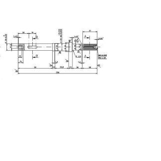 ALBERO POMPA PM 36F