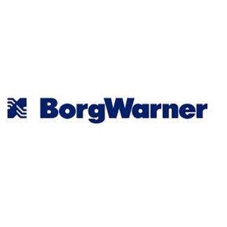 DISQUE DE COUSSIN BORG WARNER