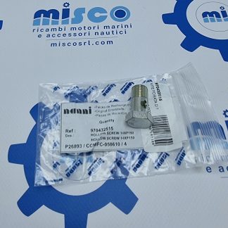 VITE FORATA D.14 970432515 Nanni