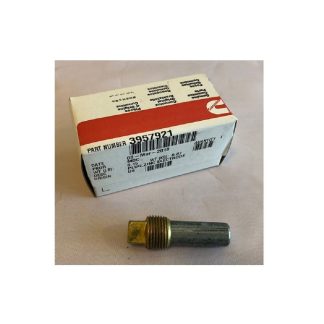 Tappo, Elettrodo Zinco originale cod. 3957921.