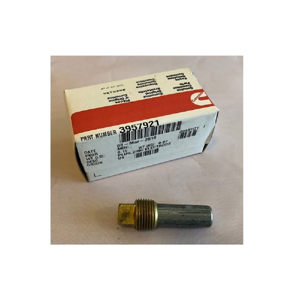 Tappo, Elettrodo Zinco originale cod. 3957921.