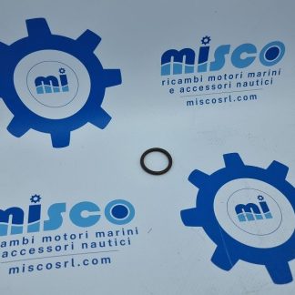 O-RING OLIO 17282081 Aifo