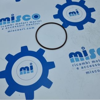 O-RING 17285181 Aifo