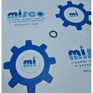 O-RING 4895393 Aifo