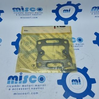 GUARNIZIONE 8014972 Aifo