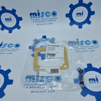 GUARNIZIONE 8031907 Aifo