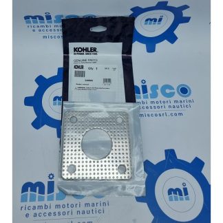 GUARNIZIONE RAISER SCAR. 249905 Kohler