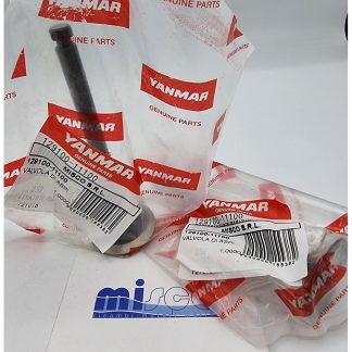 VALVOLA DI ASPIRAZIONE =12915011100 129100-11100 Yanmar