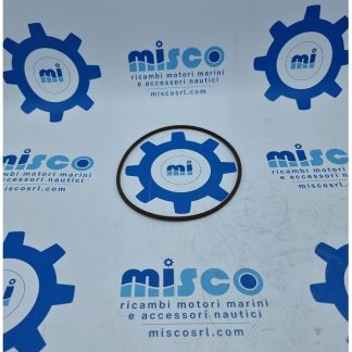 O-RING 17291981 Aifo