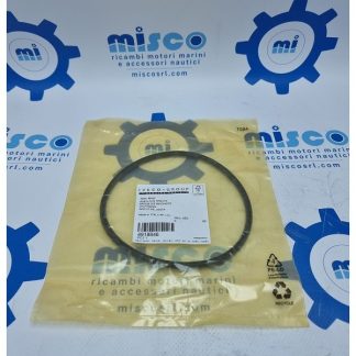 O-RING 4918846 Aifo