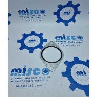 TENUTA 1250434 Caterpillar