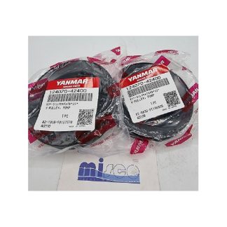 PULEGGIA POMPA AM 124070-42400 Yanmar