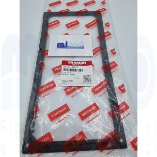 GUARNIZIONE PANNELLO "B" OLD 128170-91020 Yanmar