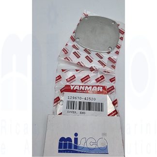 COPERCHIO POMPA AM 11977342560 129670-42520 Yanmar