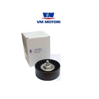 PULEGGIA 30602002F  VM