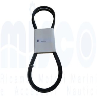 COPPIA CINGHIE 36512001F  VM