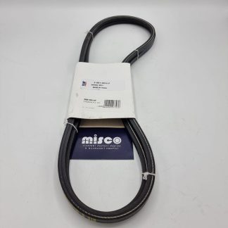 COPPIA CINGHIE 36512014F  VM