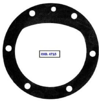 GUARN.COP. IVECO 4914944