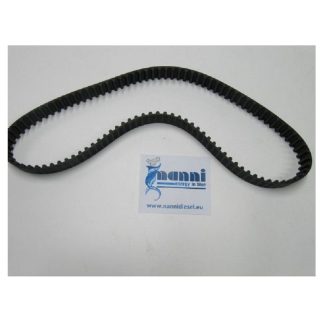 CINGHIA DISTRIBUZIONE 970312161 Nanni