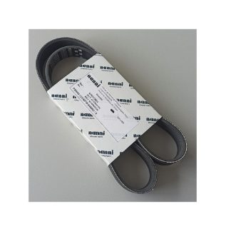 CINGHIA, ALTERNATORE 970313801 Nanni