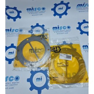 GUARNIZIONE  4P3872 Caterpillar