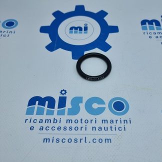 TENUTA 6V5134 Caterpillar