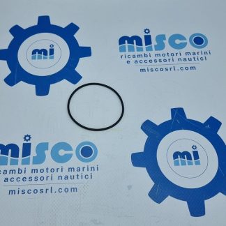 O-RING 48418178 Nanni