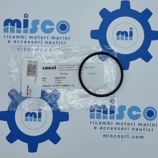 O-RING 48418183 Nanni