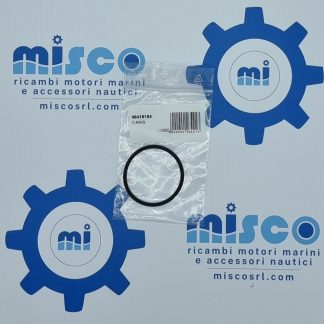 O-RING 48418184 Nanni