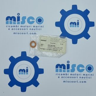 GUARNIZIONE, ANELLO INIETTORI 970142109 Nanni