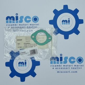 GUARNIZIONE, INGRESSO ACQUA SCAMBIATORE CALORE 970300062 Nanni