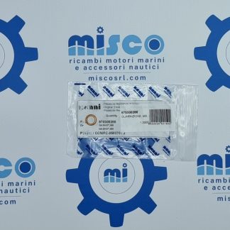 GUARNIZIONE, M8 970300288 Nanni
