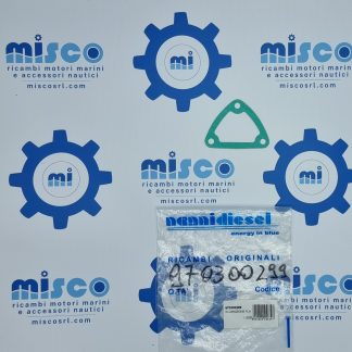 GUARNIZIONE FLANGIA 970300299 Nanni