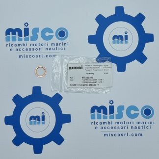 GUARNIZIONE, ANELLO D14 970300306 Nanni