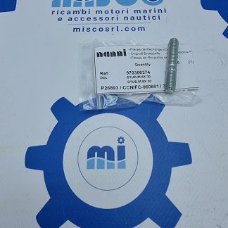 PRIGIONIERO, M8X 30 970300374 Nanni