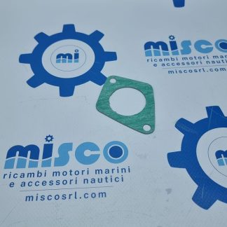 GURANIZIONE, FLANGIA POMPA ACQUA 970302610 Nanni