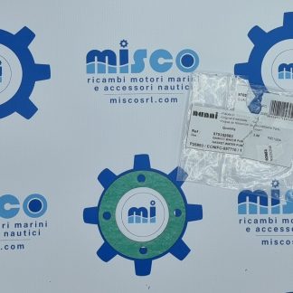GUARNIZIONE, POMPA ACQUA 970302683 Nanni