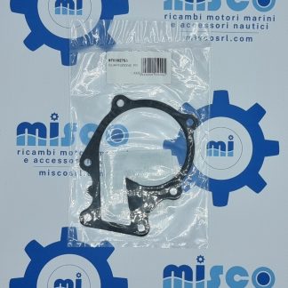 GUARNIZIONE, POMPA ACQUA DOLCE 970302753 Nanni